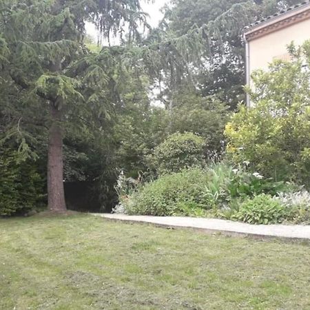Ahoma, Sejour Bien-Etre, Calme Et Serenite. Labruguiere Экстерьер фото