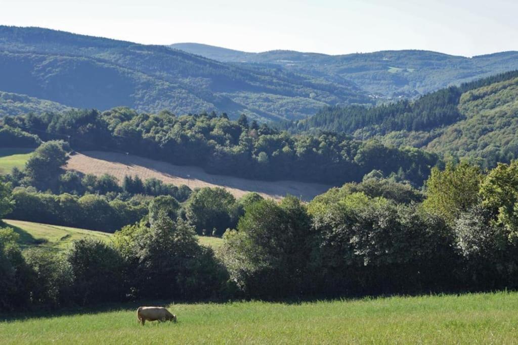 Ahoma, Sejour Bien-Etre, Calme Et Serenite. Labruguiere Экстерьер фото